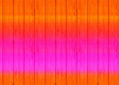 専門知識が鍵となる現代のデジタル情報発信のあり方完全ガイド