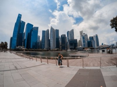 From Local Roots to Global Brand: Creator Success Stories